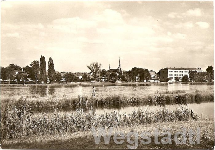 1964....jpg