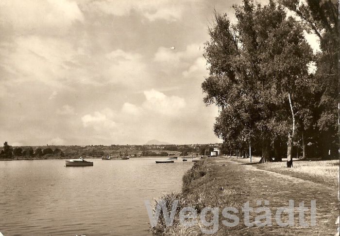 1962..jpg