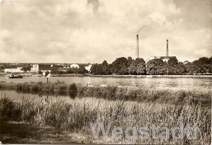 1964.jpg